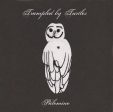 TRAMPLED BY TURTLES - PALOMINO For Discount