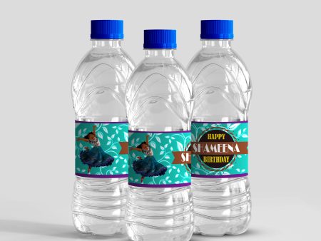 Encanto Theme Water Bottle Stickers Online now