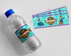 Encanto Theme Water Bottle Stickers Online now